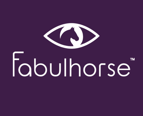 Fabulhorse application mobile, équitation, cheval, chevaux, application equitation